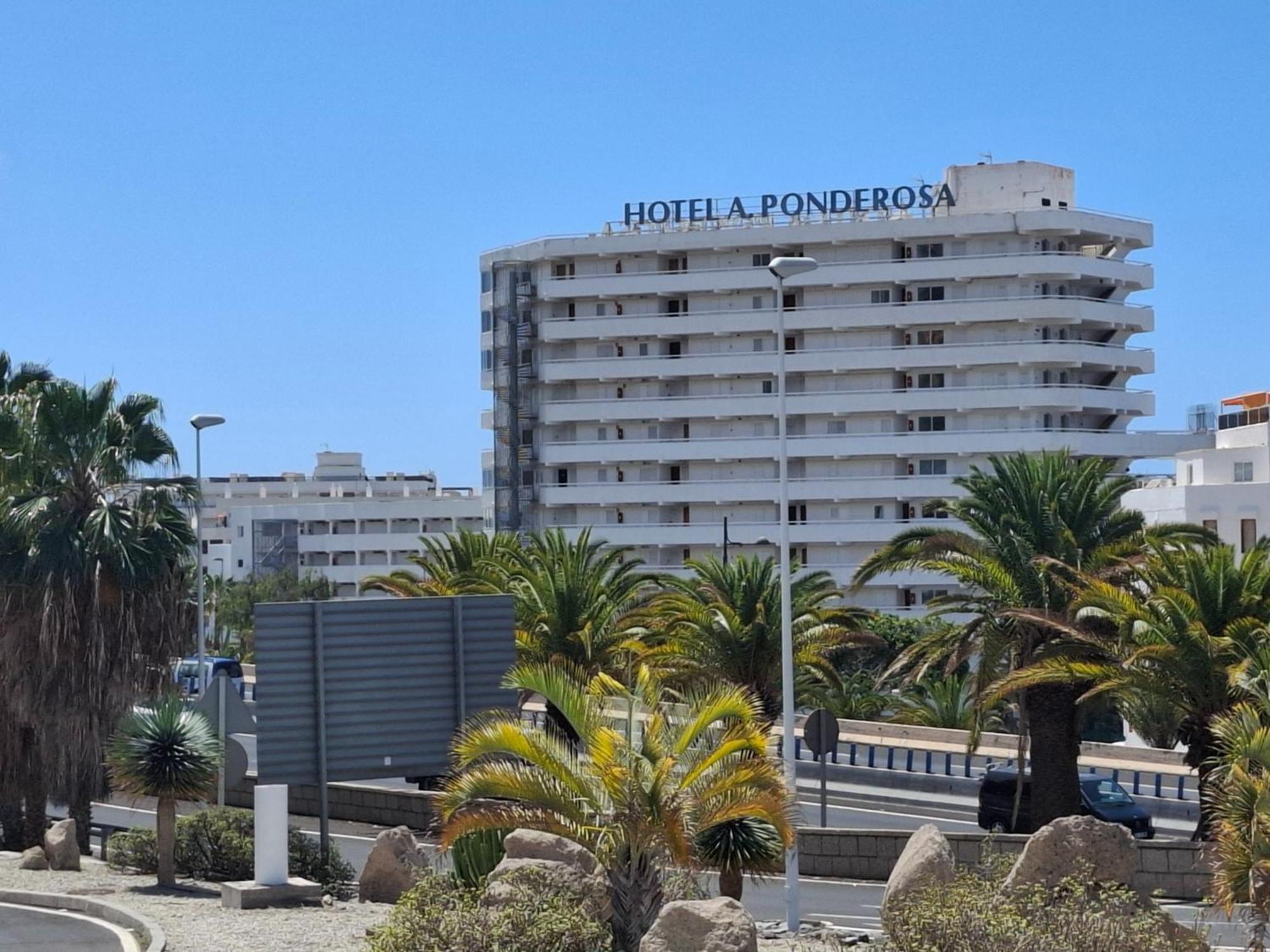 Under The Palm Apartment Playa de las Americas  Exterior foto